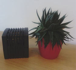 Primacol Pochłaniacz Wilgoci z Wymiennymi Tabletkami Grafitowy 250g