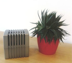 Primacol Pochłaniacz Wilgoci z Wymiennymi Tabletkami Czarny 250g